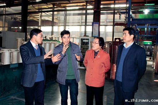 中国工程院院士邱爱慈考察南浔区浙江长城电工科技股份有限公司.jpg
